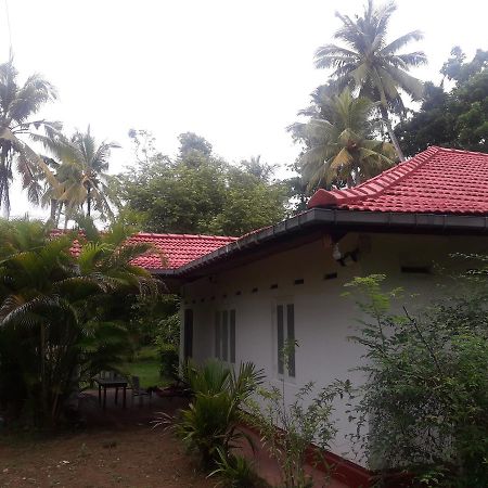 International Meditation Center Mirissa Exterior photo