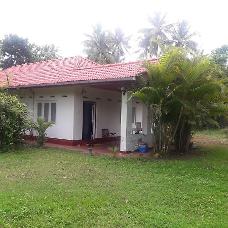 International Meditation Center Mirissa Exterior photo