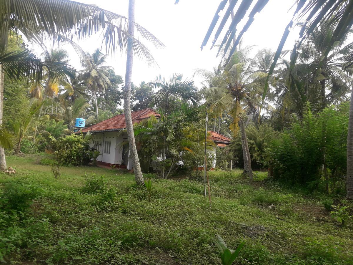 International Meditation Center Mirissa Exterior photo