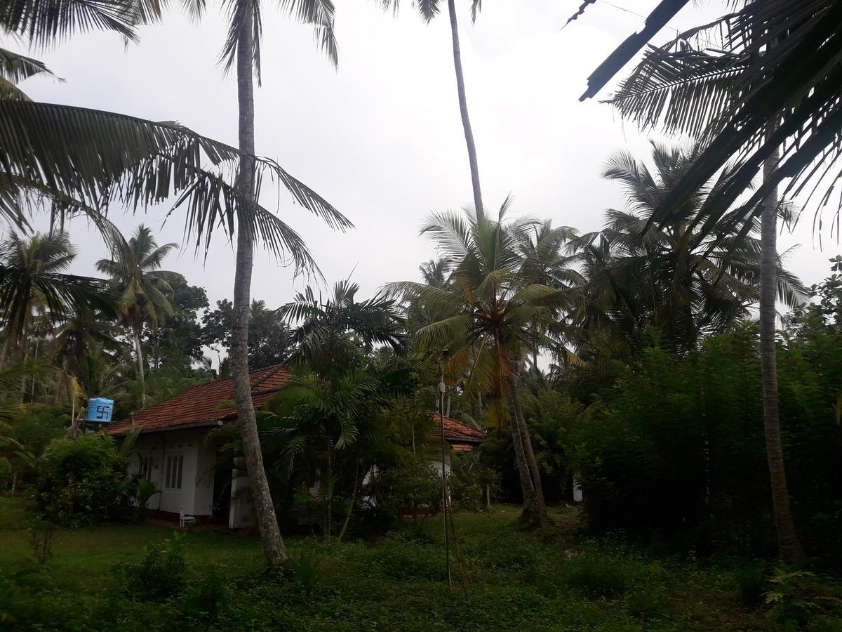 International Meditation Center Mirissa Exterior photo