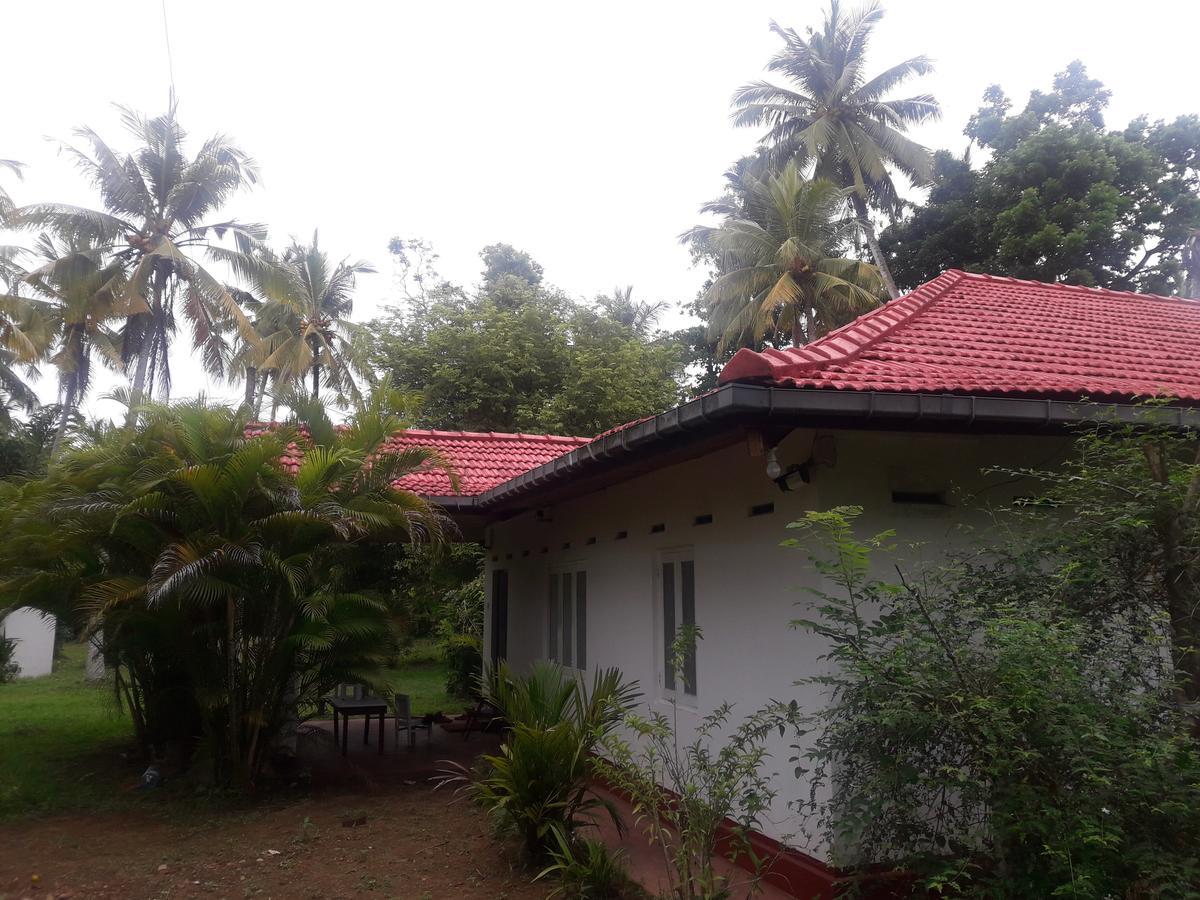 International Meditation Center Mirissa Exterior photo