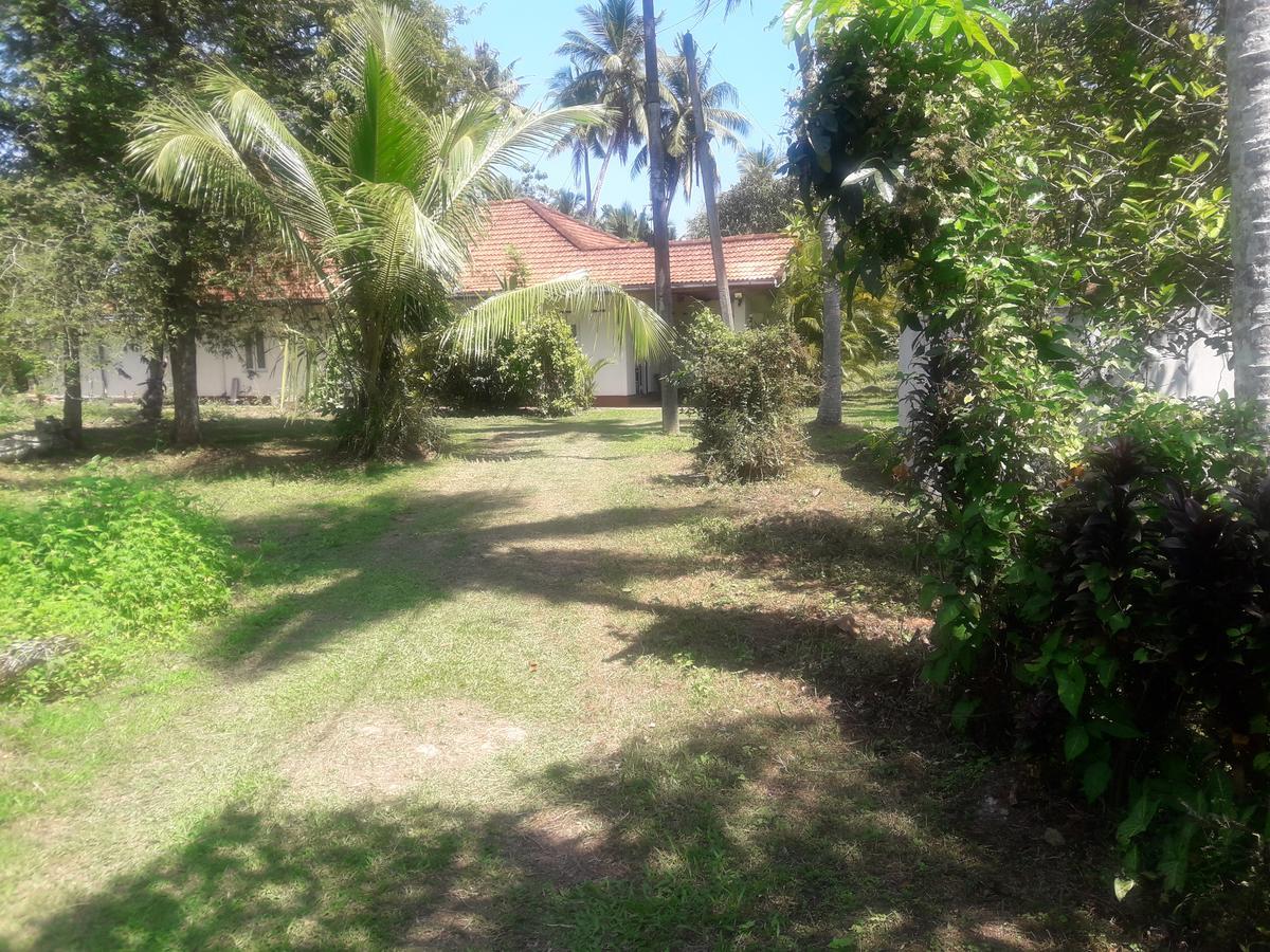 International Meditation Center Mirissa Exterior photo