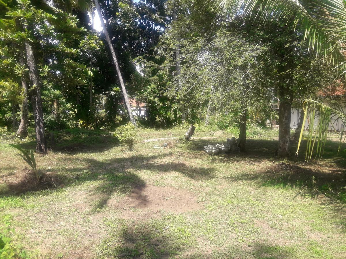 International Meditation Center Mirissa Exterior photo